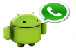 StunnaLife_whatsapp-for-android