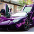 SL_TPFC